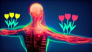 BODY SCAN Intégral contre le Stress  Relaxation par le Corps  Méditation Pleine Conscience [upl. by Hazeghi]