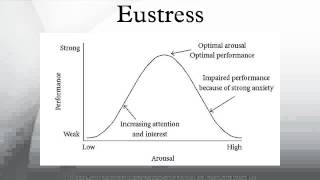 Eustress [upl. by Vivian]