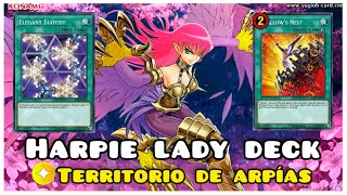 HARPIE LADY DECK 2023 YUGIOH DUEL LINKS [upl. by Inal]