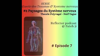 7 Paysages du Système nerveux [upl. by Airual]