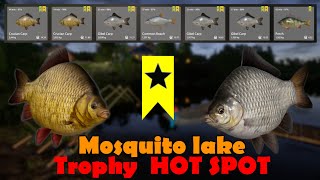 Mosquito lake  Trophy HOT SPOT  Russian Fishing 4 rf4 spot 156 [upl. by Aymahs367]