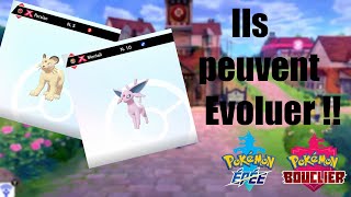 Faire Evoluer Miaouss Gigamax et Evoli Gigamax  Pokemon Épée et Bouclier [upl. by Schlosser449]