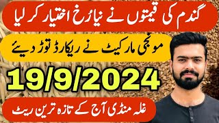 Wheat Price Today in Pakistan  Super Fine Hybrid LP 18 Super 1509 Munji Rate Today  Zaraat زراعت [upl. by Acihsay]