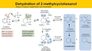 Dehydration of 2Methylcyclohexanol Experiment Part 1 Prelab Lecture [upl. by Joachima]