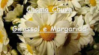 Chama Chuva  Girassol e Margarida [upl. by Geraint232]