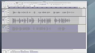 Setting Audio Recording Levels  Audacity [upl. by Nhguavahs]