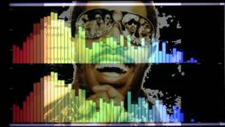 Stevie Wonder Superstition  The real Funk Remix by Ultra S [upl. by Aicek981]