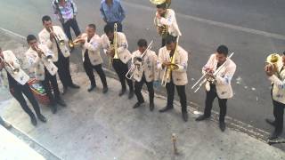 El sauce y la palma banda candela 2015 [upl. by Maillij]