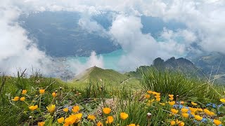 Brienzer Rothorn  SWITZERLAND P1 [upl. by Bromley]