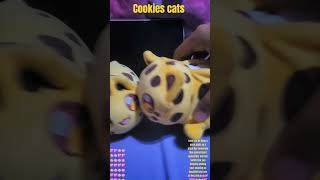 When both Cookies cat have the same idea question Love you all bee you🪷💖🪷💖🪷💖🪷💖🪷💖🪷💖🪷💖🪷💖🪷💖🪷💖 [upl. by Ahset]