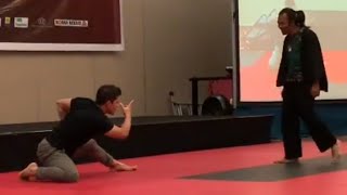 Iko Uwais Martial Arts Demonstration amp Training [upl. by Olonam]