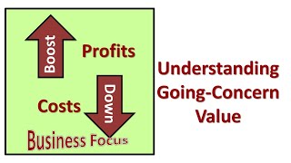 Understanding Going  Concern Value [upl. by Anilac185]