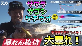 【サゴシ・サワラ・タチウオ】ミッチー高橋が徹底解説！東京湾のジグ、ミノー、ワインドゲーム [upl. by Rich]