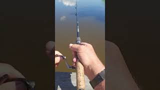 Fishing For Bass With A Ned Rig [upl. by Ennovad]