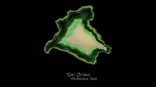 Tyler Childers  Whitehouse Road Official Audio [upl. by Odlanier65]