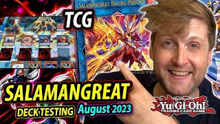 quotA NEW FORCEquot  Salamangreat DECK TESTING TCG AUGUST 2023 [upl. by Zigrang802]