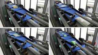 BluePrint Automation BPA Gravity 100r Case Packer [upl. by Raimund]