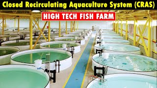 Closed Recirculating Aquaculture System CRAS  RAS Fish Farming  Modern Fish Farming Technology [upl. by Kirat]