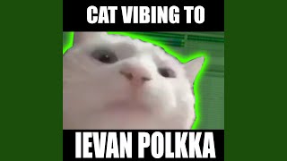 Cat Vibing To Ievan Polkka Swing [upl. by Resa]