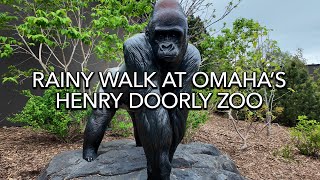 Rainy Walk at Omaha’s Henry Doorly Zoo  Spring Day Nature Sounds [upl. by Delsman]