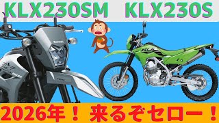 【SEROW】2024年新型KLX230 amp スーパーモタードが復活！なぬ！セローも復活？！【KLX230】 [upl. by Slaughter]