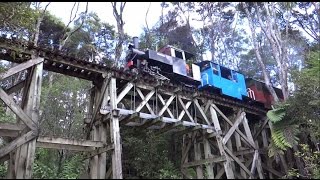 Whangaparoa Narrow Gauge Railway HD [upl. by Nossah]