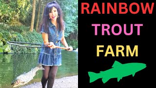 Rainbow Trout Farm  Fun Fishing [upl. by Raquel100]