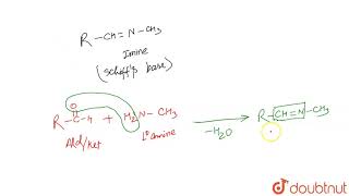 Which of the following give Schiff base with aldehyde [upl. by Birgitta582]