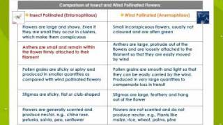 Pollination And Fertilisation [upl. by Gilead]