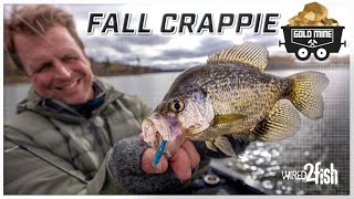 Catch More Fall Crappies  Advanced Lure and Fish Finder Tips [upl. by Noseimaj]