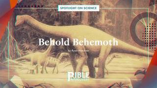 What Really was the quotBehemothquot in the Book of Job  Spotlight on Science  Behold Behemoth [upl. by Hale]