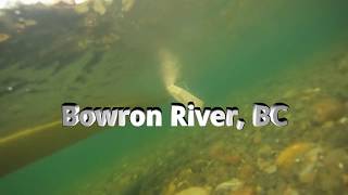 Canoe Trip Bowron River BC [upl. by Haceber]