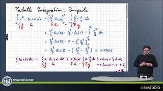 0271 Partielle Integration Beispiele [upl. by Bonina]