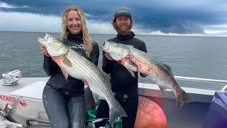 Spearing Stripers in Montauk  Fish Outta Water  CCC [upl. by Aitselec]