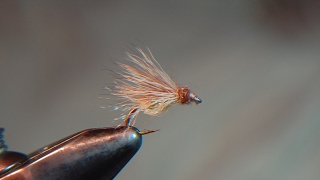 FLY TYINGLAFONTAINE CADDIS EMERGER [upl. by Une]