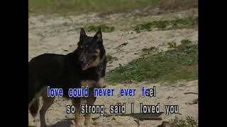 USA karaoke Said I Love You But I Lied Michael Bolton RL [upl. by Goddard]