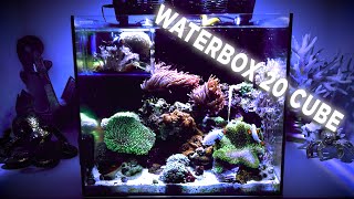 WaterBox 20 Cube  Mixed Reef [upl. by Daisi147]