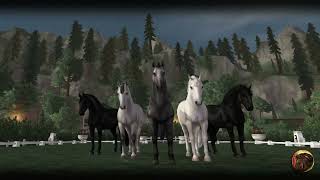 SSO  Open Dressage Night  Heroic Guards [upl. by Teage]