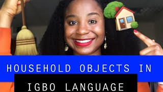 Igbo lesson 6  Household Objects In Igbo Language Igbo Class  Lessons for beginners [upl. by Opportina]