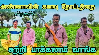 வெளிநாடு தேவையில்லை தனி ஒருவனாய் கலக்கும் விவசாயிgarden srilanka tamilgardening [upl. by Lourie]