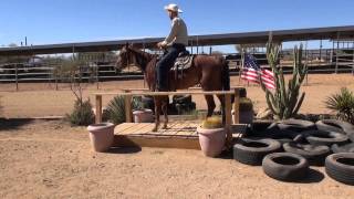 Missouri Fox Trotter  Freddie Mack  Ready for Trail [upl. by Hodosh539]