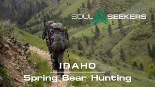 Spring Bear Hunting in Idaho [upl. by Areic28]