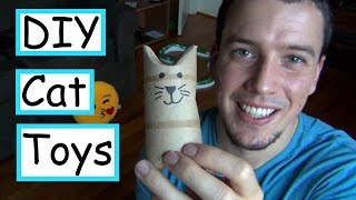 5 DIY Cat Toys  EASY  CHEAP [upl. by Cardie]