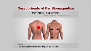 PAR FRONTALSUPRARRENAL ASMA ALERGICO VERDADERO PAR ESPECIAL DEL DR SALVADOR GUTIERREZ [upl. by Mutz]