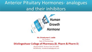 Part 04 Anterior Pituitary Hormones analogues and their inhibitors [upl. by Gilles246]