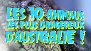 TOP 10 DES ANIMAUX LES PLUS DANGEREUX ET MORTELS EN AUSTRALIE [upl. by Euqinoj254]