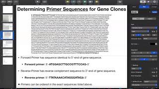 Primer Design for Cloning ENTIRE Gene Sequence [upl. by Cir787]