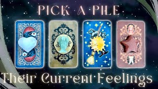 How They’re Currently Feeling About You👀🥰 Pick a Card🔮 Timeless InDepth Love Tarot Reading [upl. by Henrion]