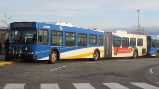 TransLink CMBC 2000 New Flyer D60LF  R8065 [upl. by Akirret173]