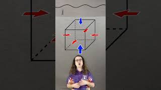 Buoyant Force Explained Why Objects Float [upl. by Riesman732]